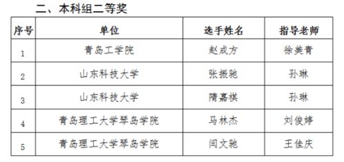 計算機工程系在第三屆山東新一代信息技術(shù)創(chuàng)新應(yīng)用大賽中喜獲佳績
